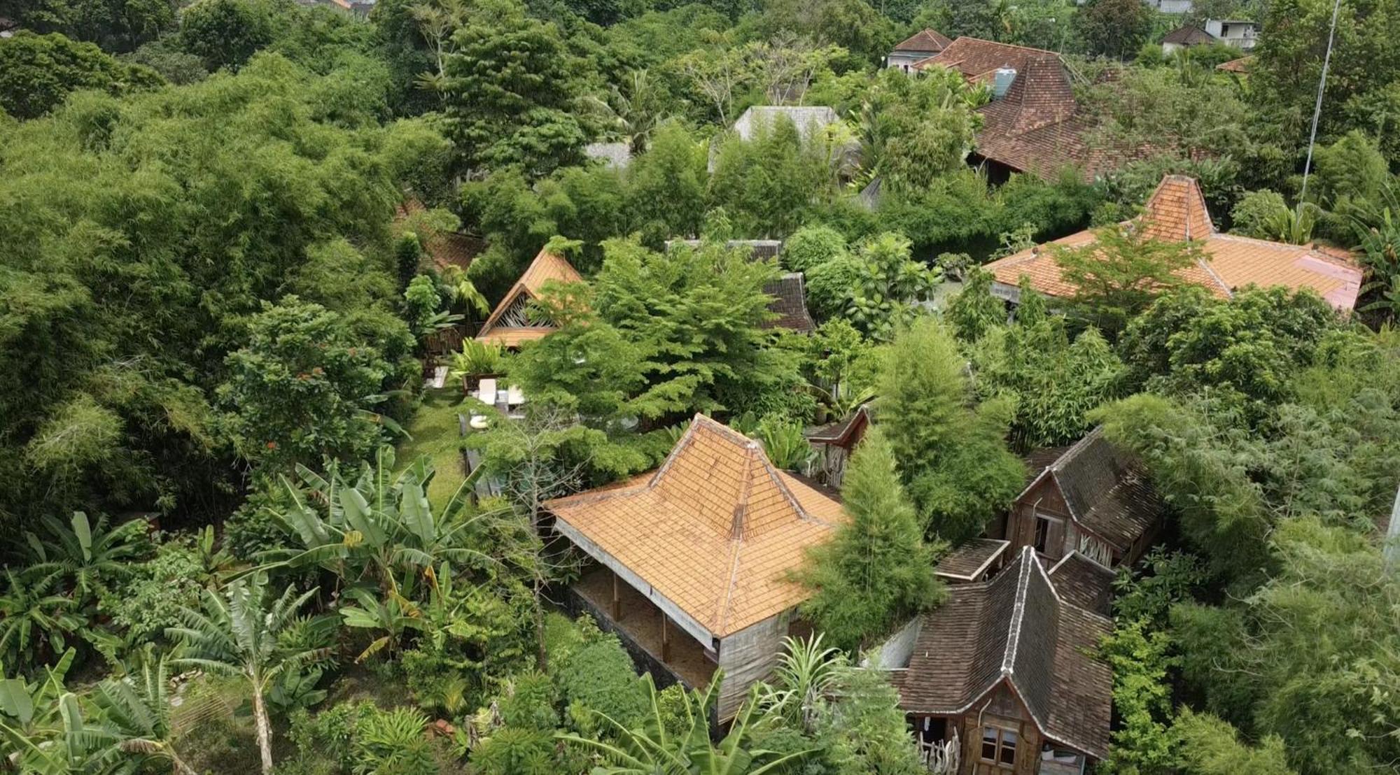 Ubuntu Bali Eco Yoga Retreat - Canggu Экстерьер фото